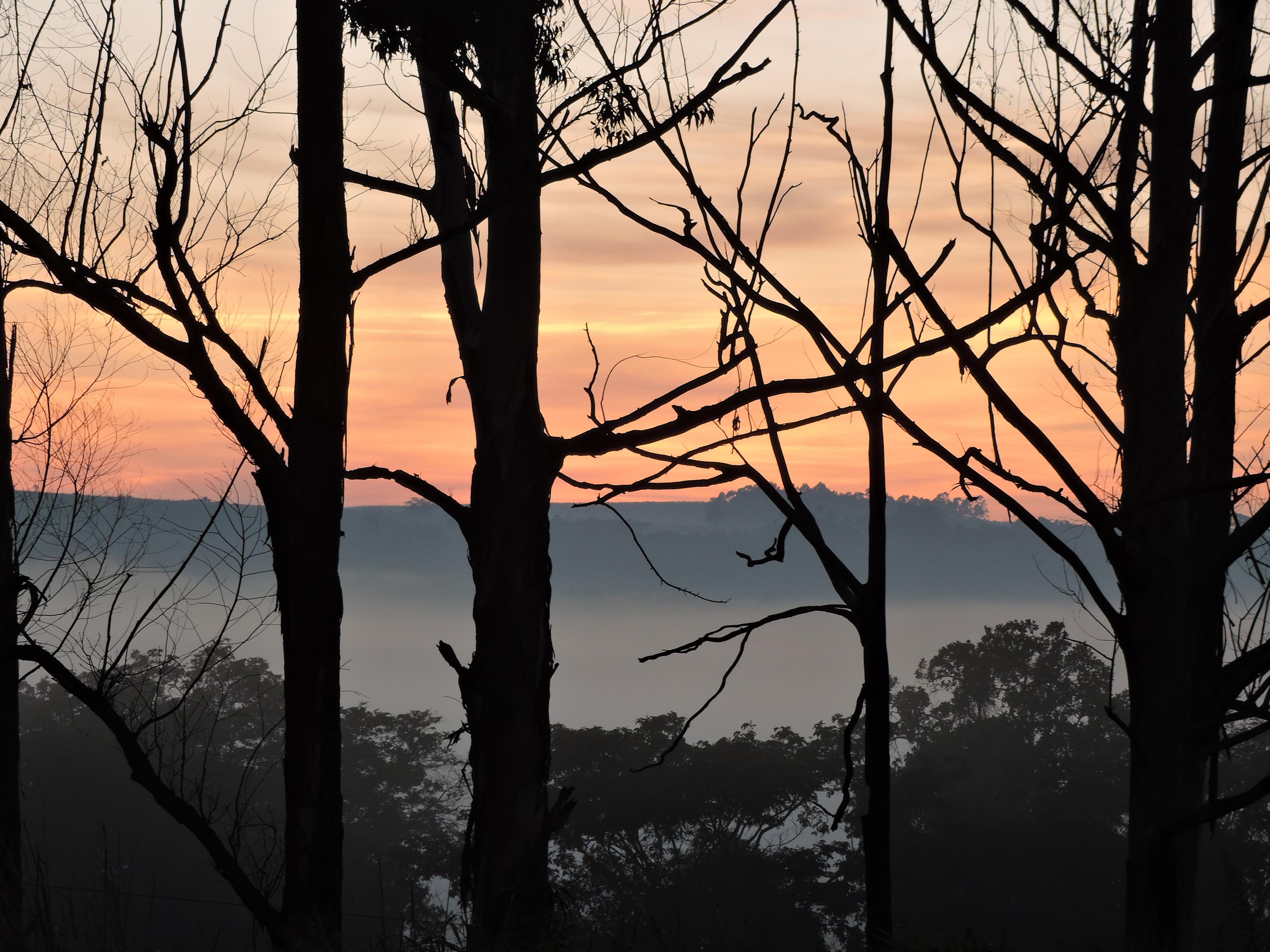 Paisagem do Cerrado