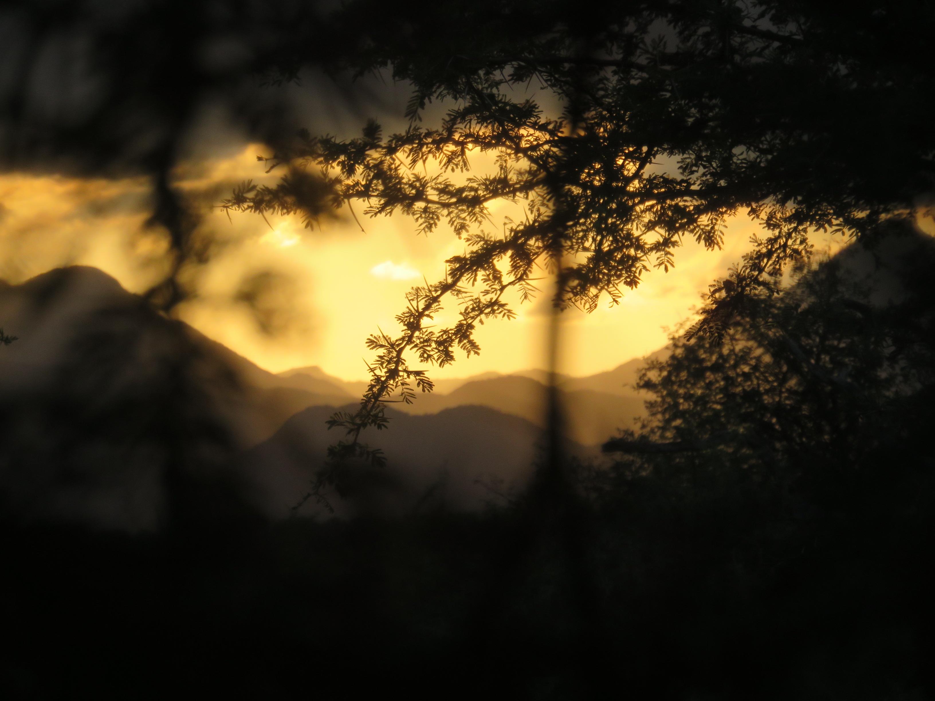 Paisagem ao entardecer com horizonte amplo e vegetacao